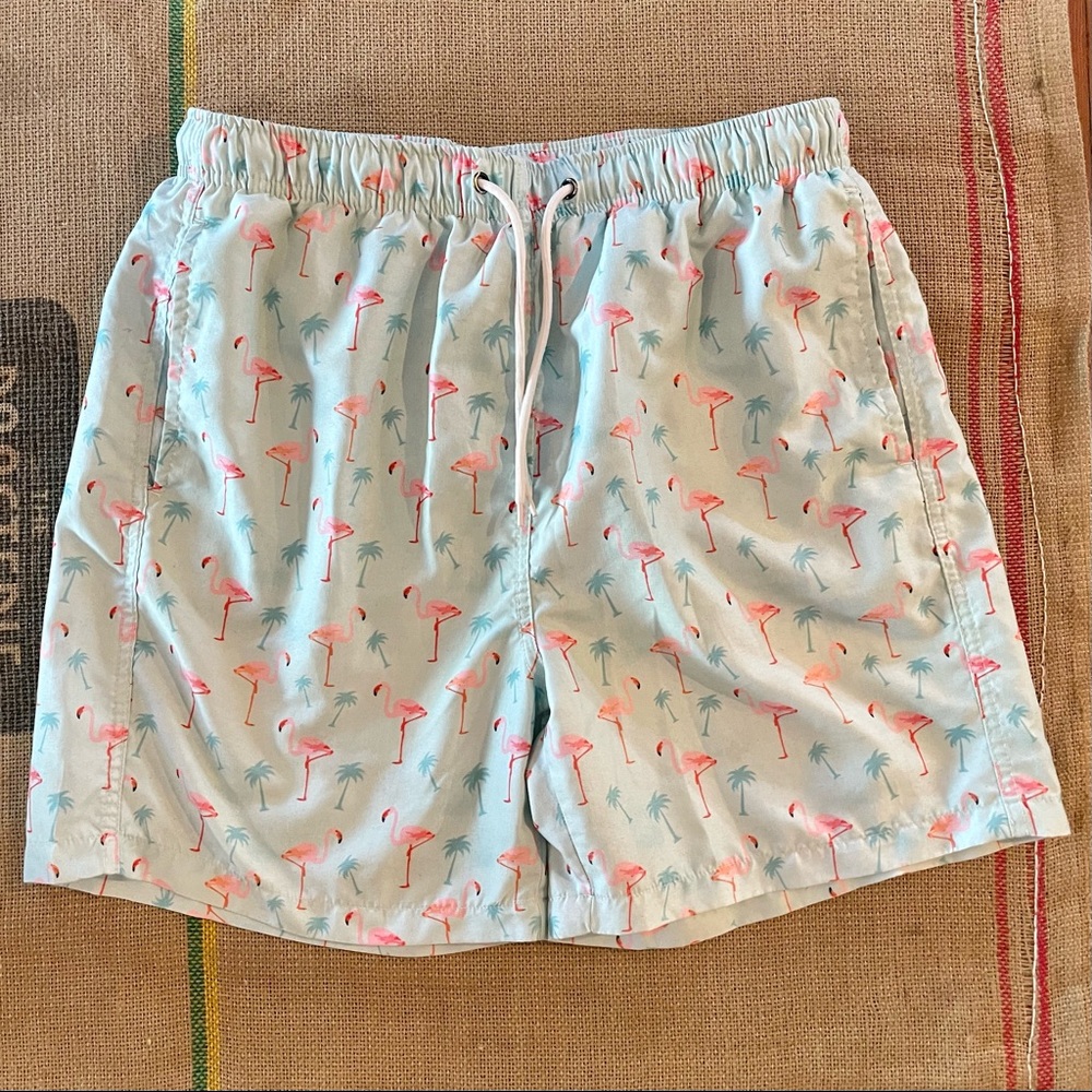 SHEIN Men’s Flamingo Swim Trunks